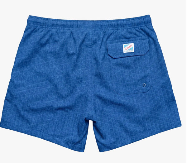 5 INCH SWIM SHORT - CIRCLE BAY