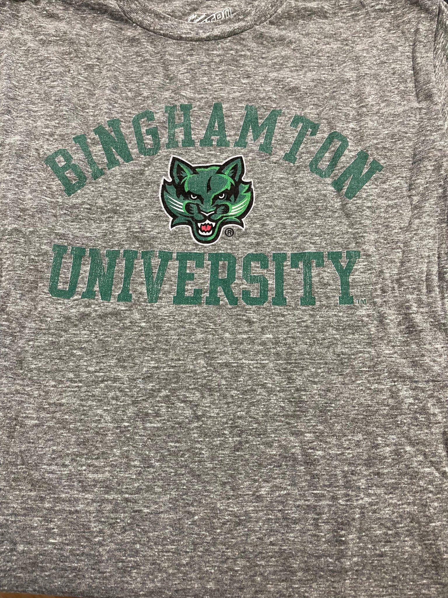 COLLEGE TEE - BINGHAMTON